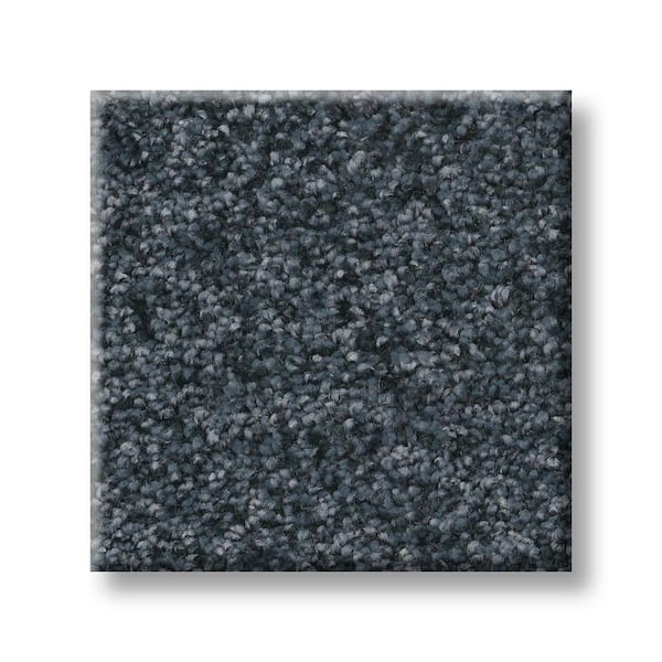 Lifeproof 8 in. x 8 in. Texture Carpet Sample - Rosemary I -Color Slate