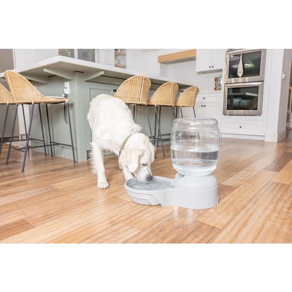 Gallon Self Watering Dog Bowl Diy Dog Water Fountain Pet Water