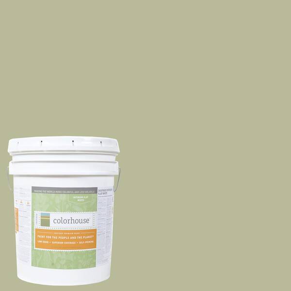 Colorhouse 5 gal. Glass .03 Flat Interior Paint
