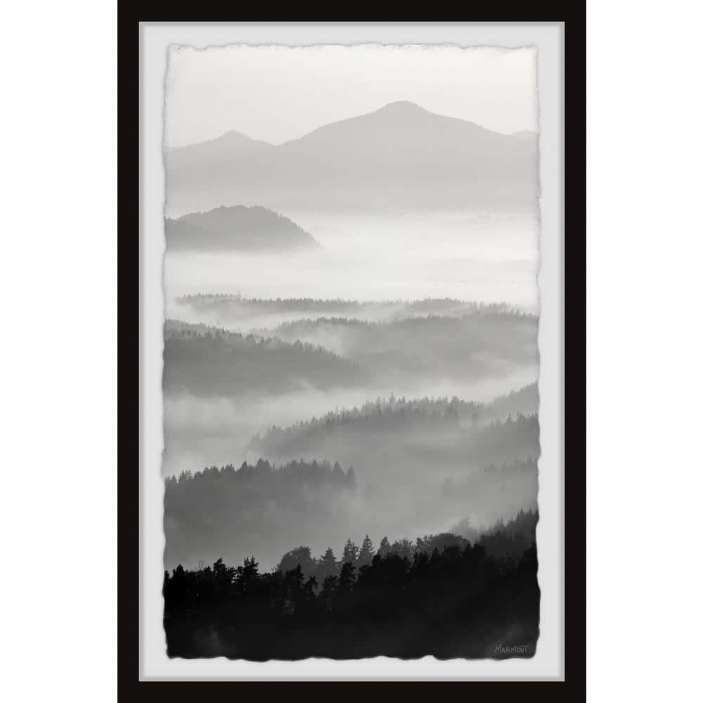 Gray Days by Marmont Hill Framed Nature Art Print 18 in. x 12 in.