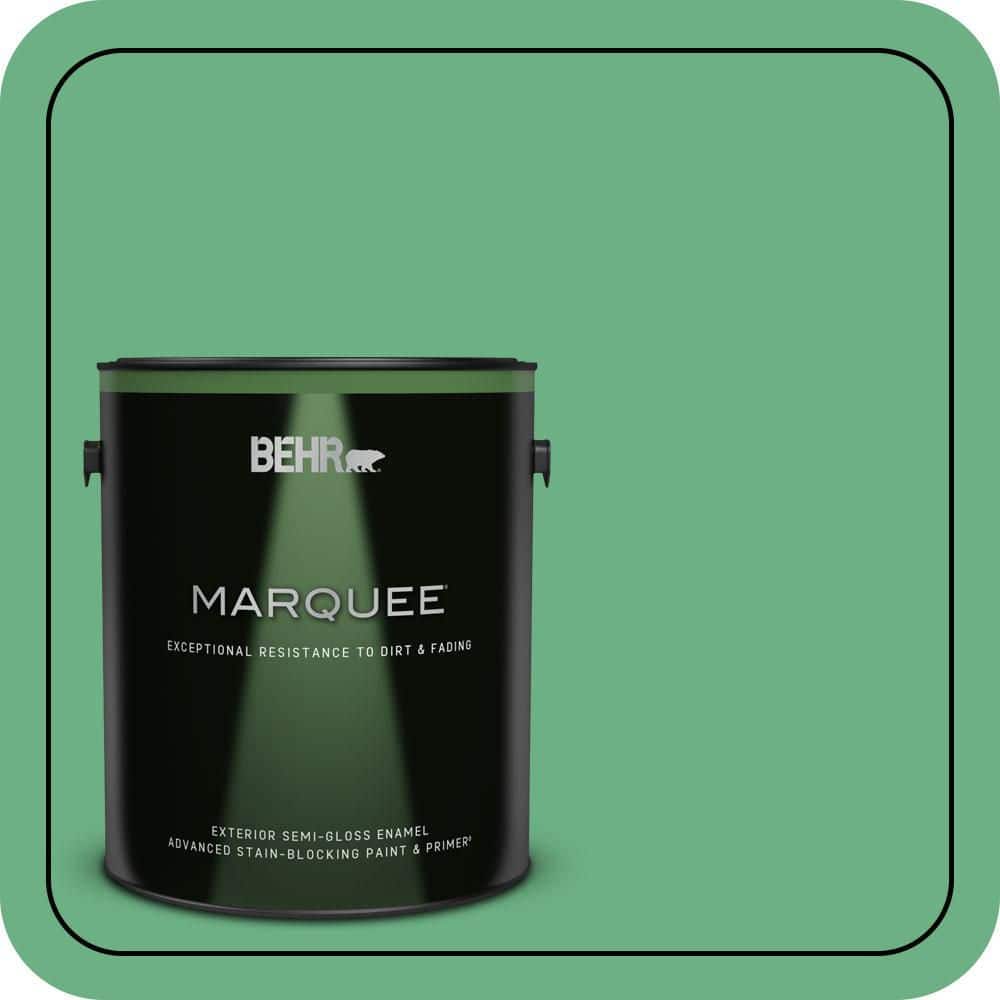 1 gal. #P410-5 Lily Pads Semi-Gloss Enamel Exterior Paint & Primer price history on PriceWatchPro
