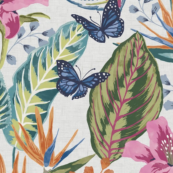 Envy Eden Day Matte Non Woven Removable Paste The Wall Wallpaper Sample
