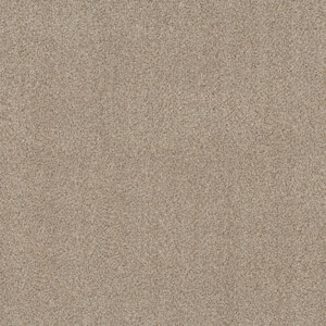 Coastal Charm I Color Parchment Beige 42 oz. Nylon Texture Installed Carpet