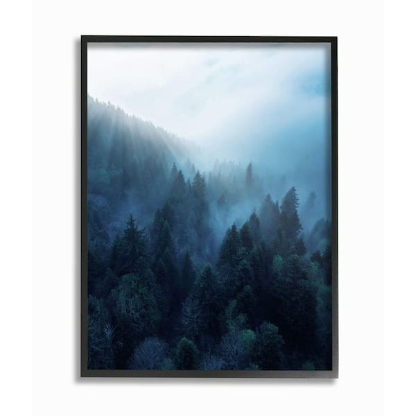 Stupell Industries "Daylight over Pine Forest Mountain with Fog" by Unsplash Framed Nature Wall Art Print 16 in. x 20 in.