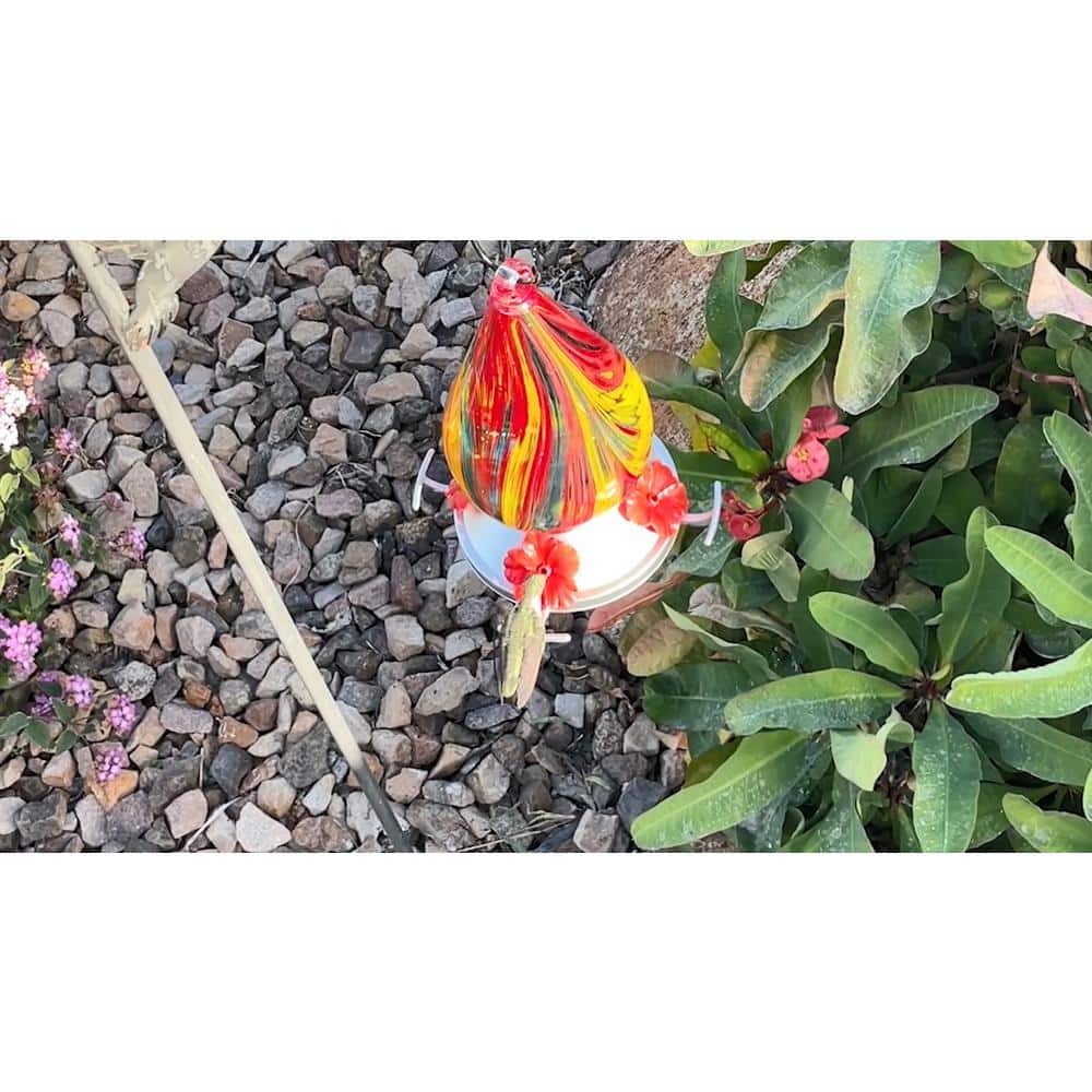 Hand-Blown Multicolor Glass Hummingbird Feeders with Red Plastic Base