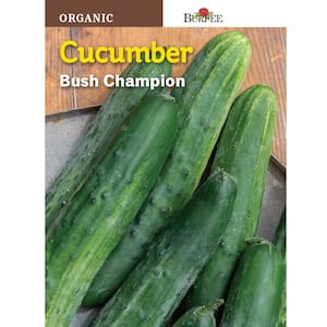 Organic Cucumber Bush Champion Seed
