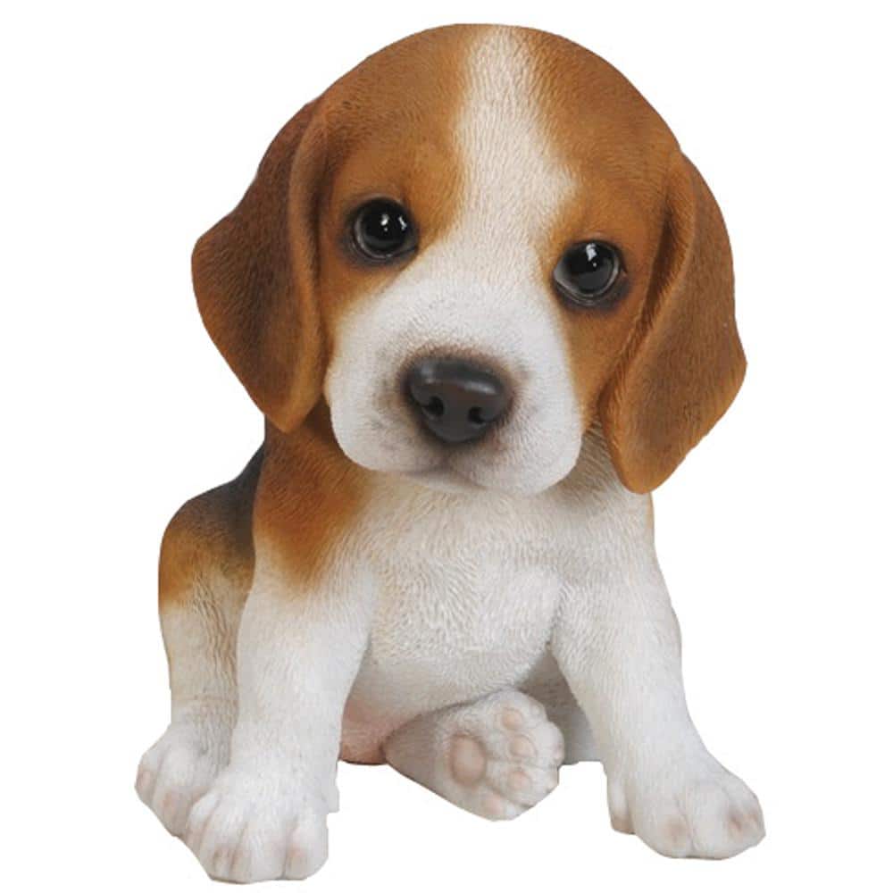 Beagle Puppy Statue price history on PriceWatchPro