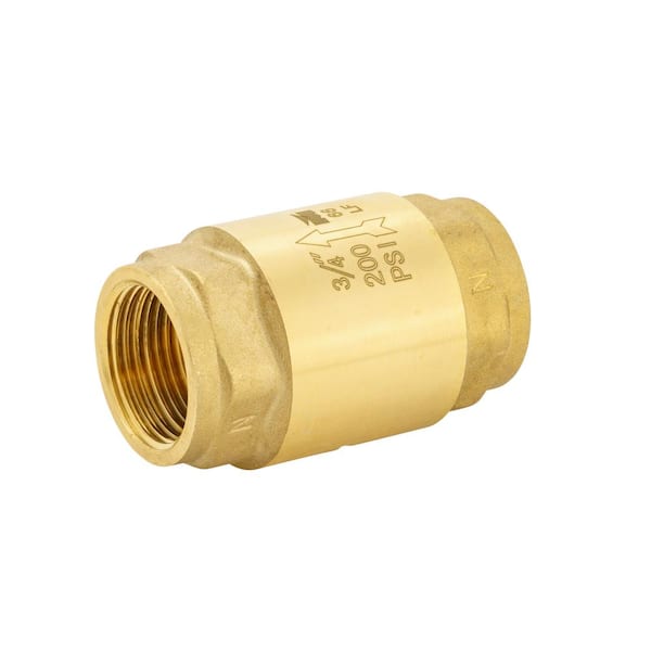 ProLine Series 3/4 in. Brass FPT In-Line Check Valve
