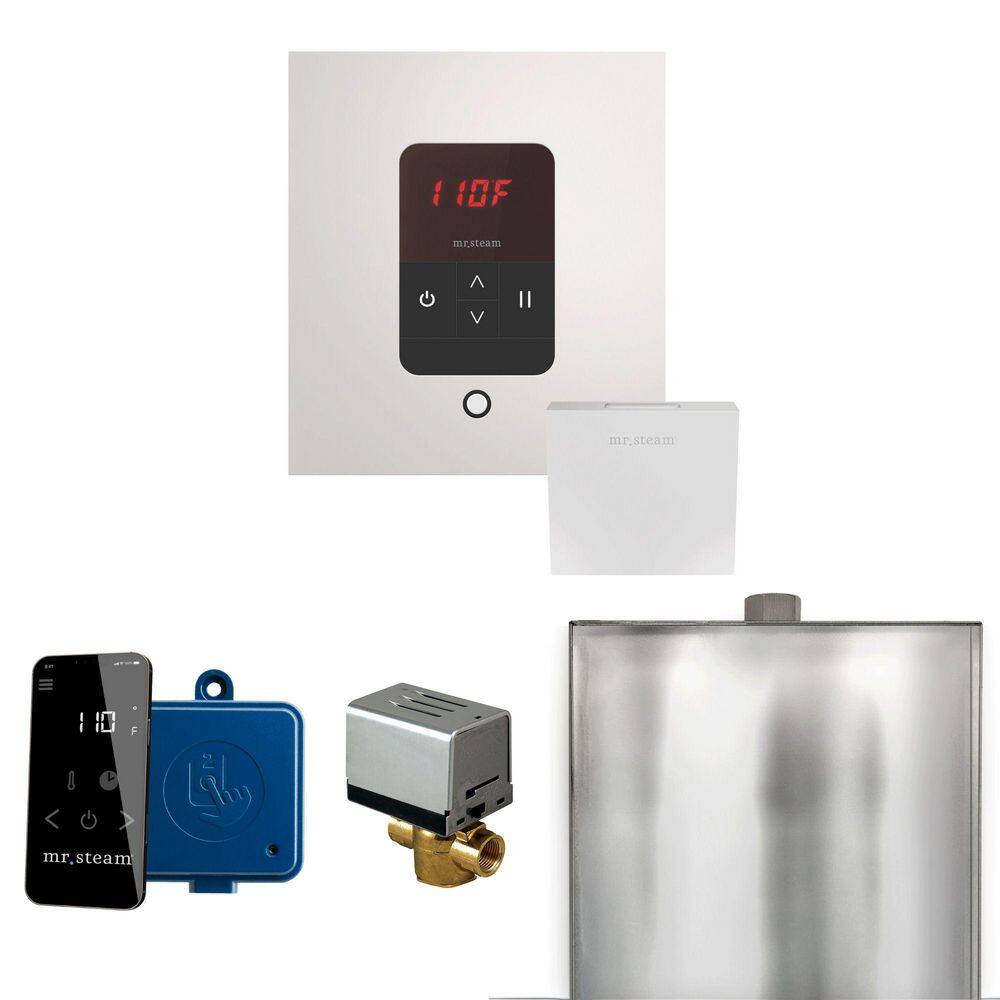Basic Butler Steam Shower Control Package with Square iTempo Control and Linear Steamhead in White price history on PriceWatchPro