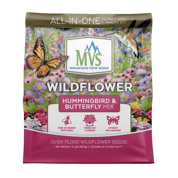 Mountain View Seeds Hummingbird and Butterfly Wildflower Seed Kit 100569 -  The Home Depot
