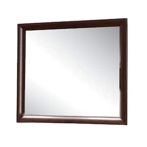 Ireland I/Storage 1 in. x 35 in. Modern Square Framed Espresso Decorative Mirror
