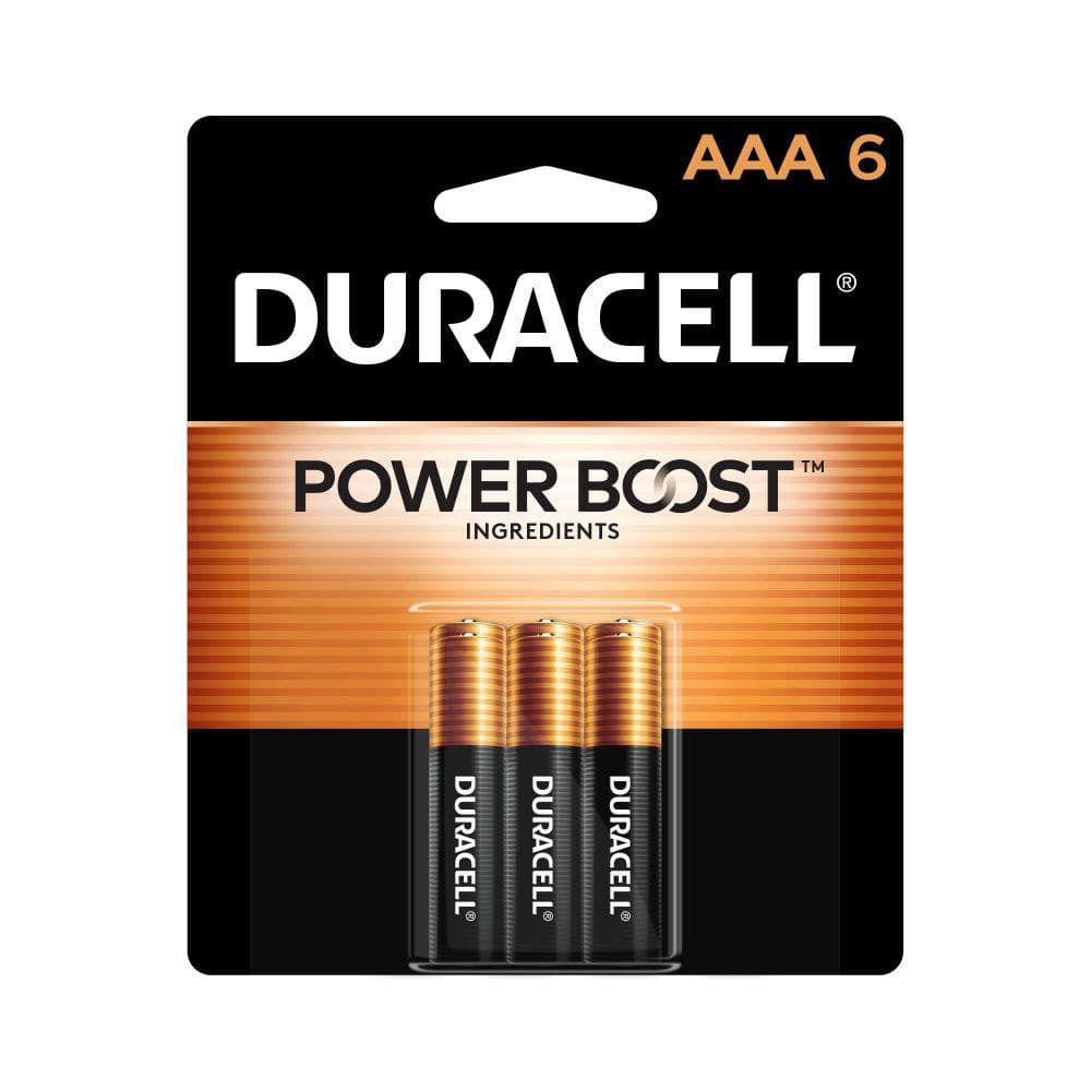 Duracell Coppertop Alkaline AAA Battery (6-Pack), Triple A Batteries  004133304161 - The Home Depot