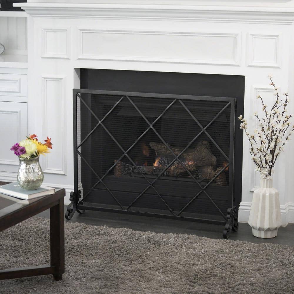 Hayden Black Iron Single Panel Fireplace Screen with Mesh