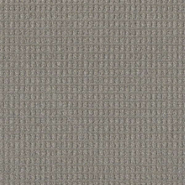 Home Decorators Collection Amaryllis-Glee Gray-35 oz. SD Polyester Pattern Installed Carpet