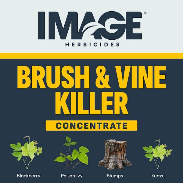IMAGE 32 oz. Brush and Vine Killer Concentrate 100551436 - The Home Depot