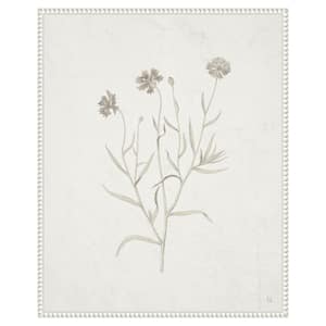 Plants from the Meadow V by Sarah Adams 1-Piece Floater Frame Giclee Home Canvas Art Print 28 in. x 23 in.