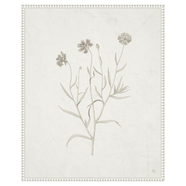 Amanti Art Plants from the Meadow V by Sarah Adams 1-Piece Floater Frame Giclee Home Canvas Art Print 28 in. x 23 in.