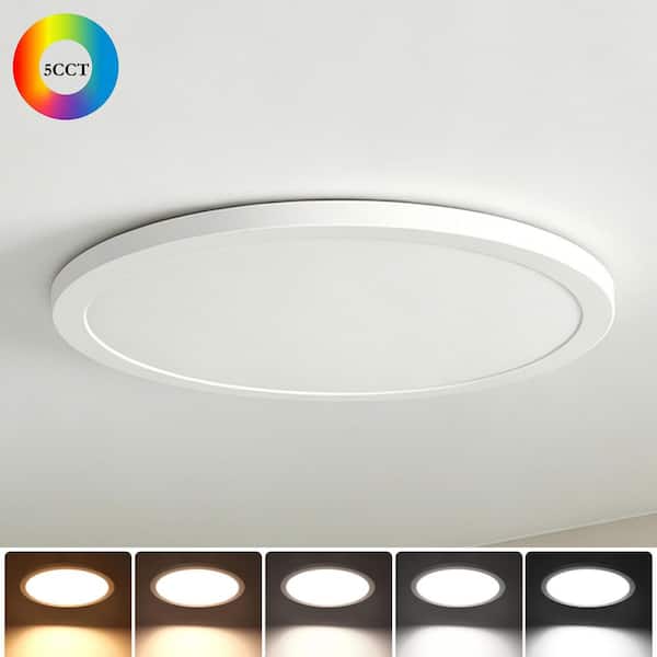 15 in. 36-Watt White Round LED Flat Panel 3200 Lumens Slim Flush Mount Ceiling Light with 5-Color Temperature Options