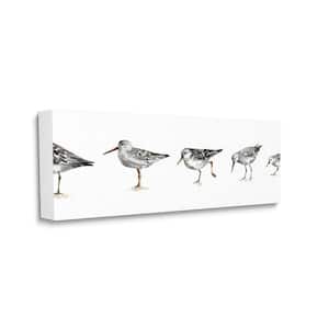 "Sandpiper Bird Stances Minimal Grey White Painting" by Lisa Audit Unframed Animal Canvas Wall Art Print 10 in. x 24 in.