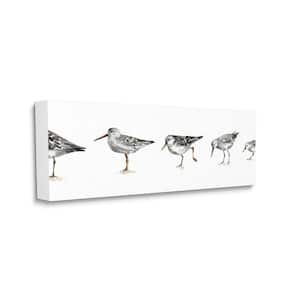 "Sandpiper Bird Stances Minimal Grey White Painting" by Lisa Audit Unframed Animal Canvas Wall Art Print 20 in. x 48 in.