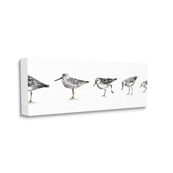 "Sandpiper Bird Stances Minimal Grey White Painting" by Lisa Audit Unframed Animal Canvas Wall Art Print 20 in. x 48 in.