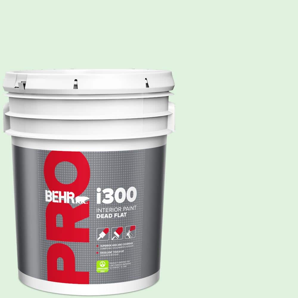 5 gal. #P400-1 Mischievous Dead Flat Interior Paint price history on PriceWatchPro