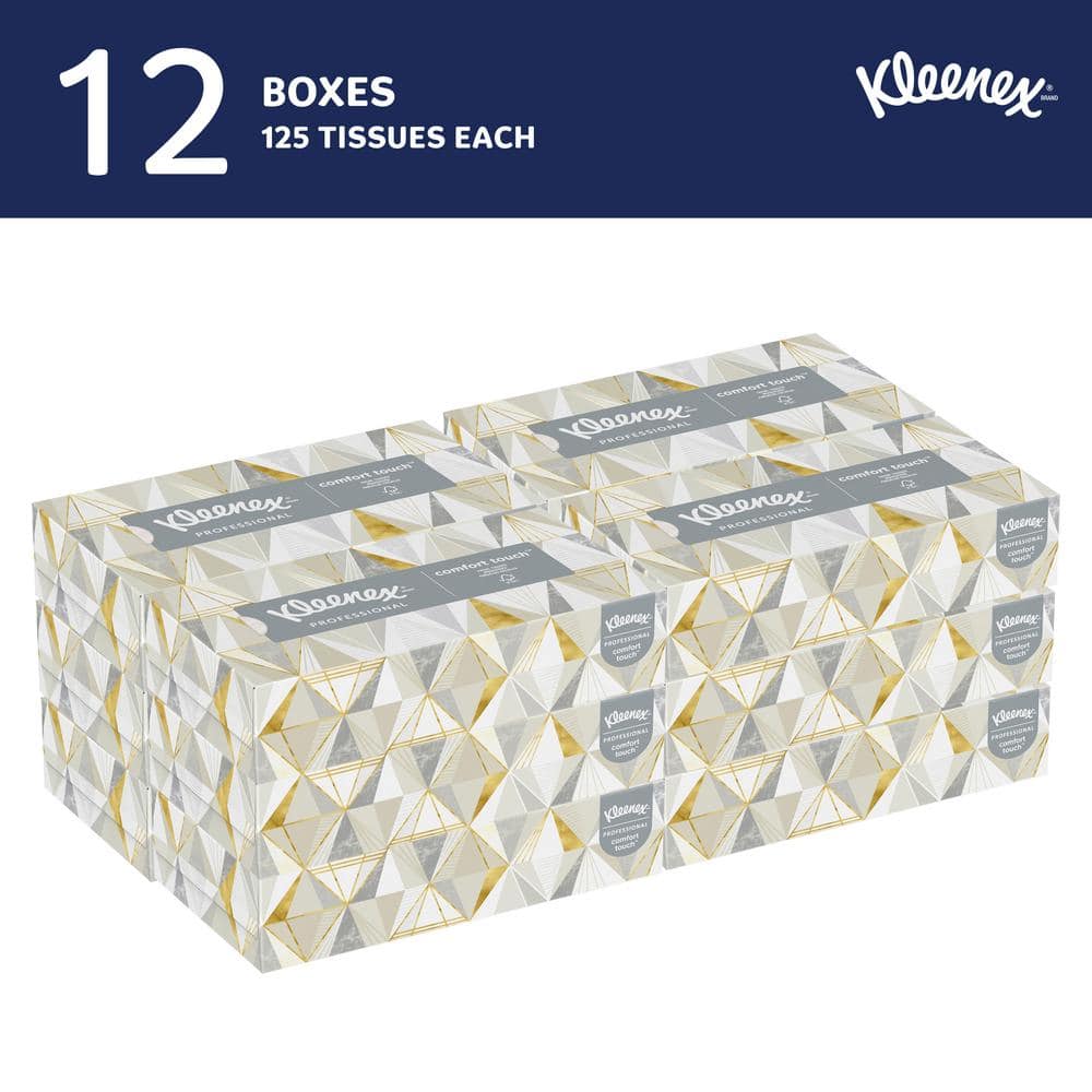 Professional Premium 2-Ply Facial Tissue (125 Sheets per Box, 12 Boxes per Case) price history on PriceWatchPro