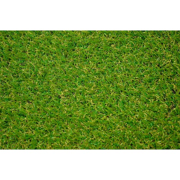 Buy 3 ft. x 4 ft. Indoor/Outdoor Greentic Artificial Grass Turf Puppy