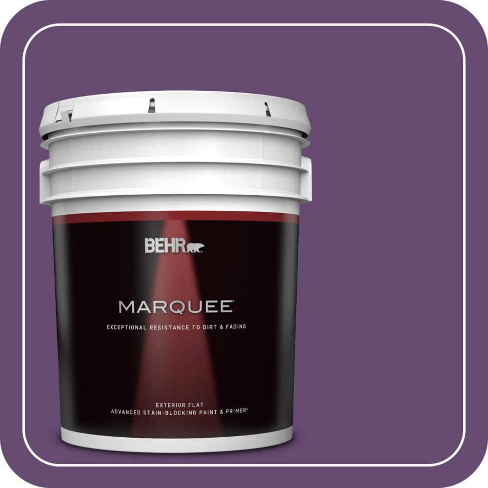 5 gal. #S-G-670 Deep Violet Flat Exterior Paint & Primer price history on PriceWatchPro