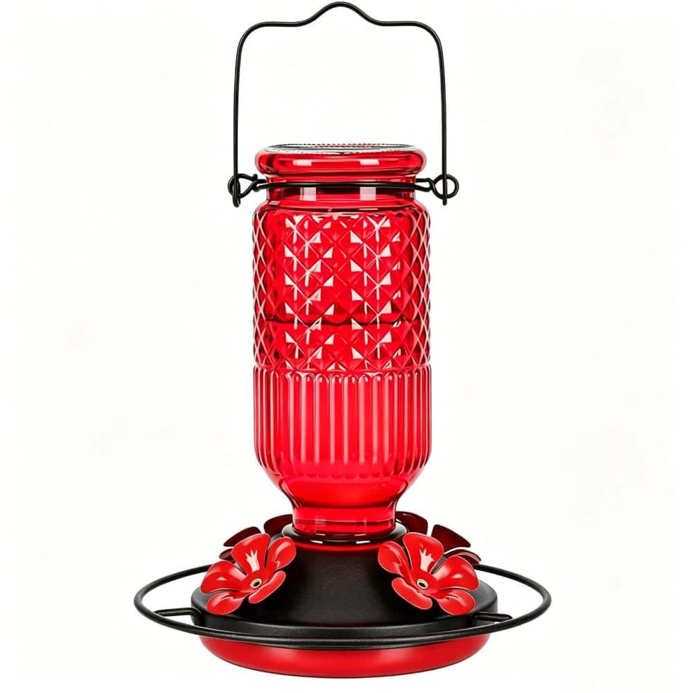 Glass Hummingbird Feeder, 16oz Outdoor Hanging Feeder with Ant Moat, 4 Bee-Proof Ports, 360° Perch price history on PriceWatchPro
