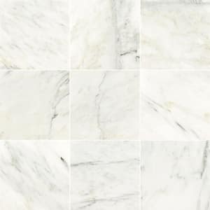 Arabescato Carrara 12 in. X 12 in. Polished Marble Floor and Wall Tile (5 Sq. Ft./Case)