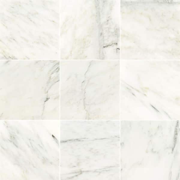 MSI Arabescato Carrara 12 in. x 12 in. Polished Marble Floor and Wall Tile (5 Sq. Ft./Case)