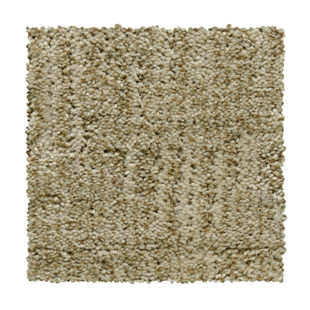 8 in. x 8 in. Pattern Carpet Sample - Corry Sound - Color Cobble Path price history on PriceWatchPro
