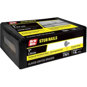 #1 x 1 in. Electrogalvanized Stub Nails 1 lb. Box