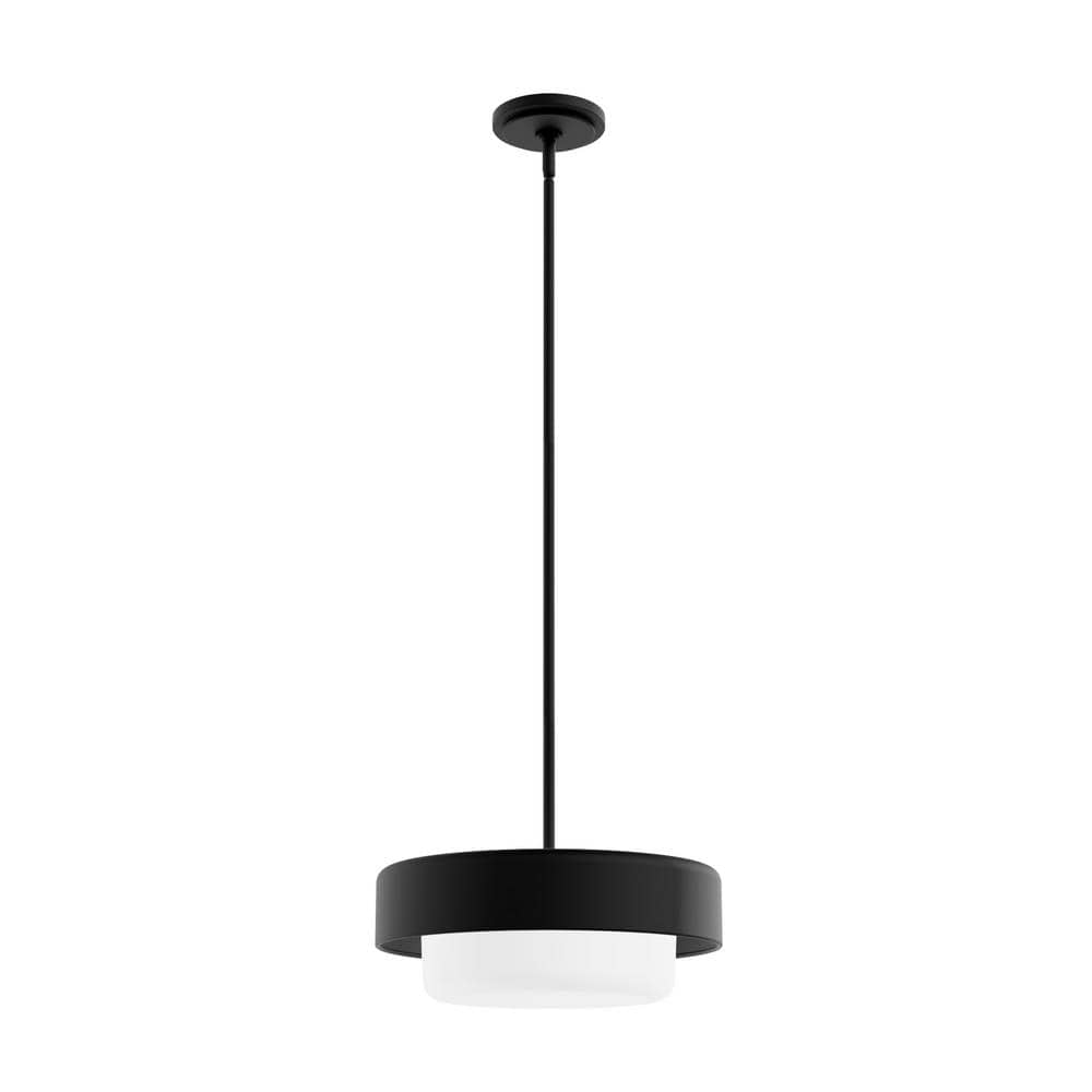 Station 14" Modern Drum Pendant with Frosted Glass in Natural Black Iron