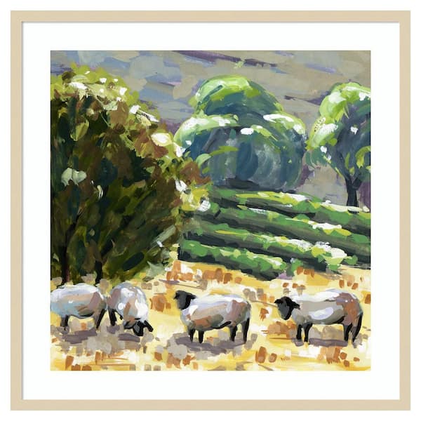 Amanti Art Sheep in Summer I by Melissa Wang 33 in. W x 33 in. H. Wood Framed Wall Art Print Framed in Brown