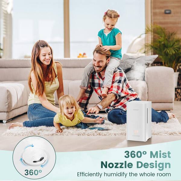 Costway 4L 250 Ultrasonic Humidifier with Mist