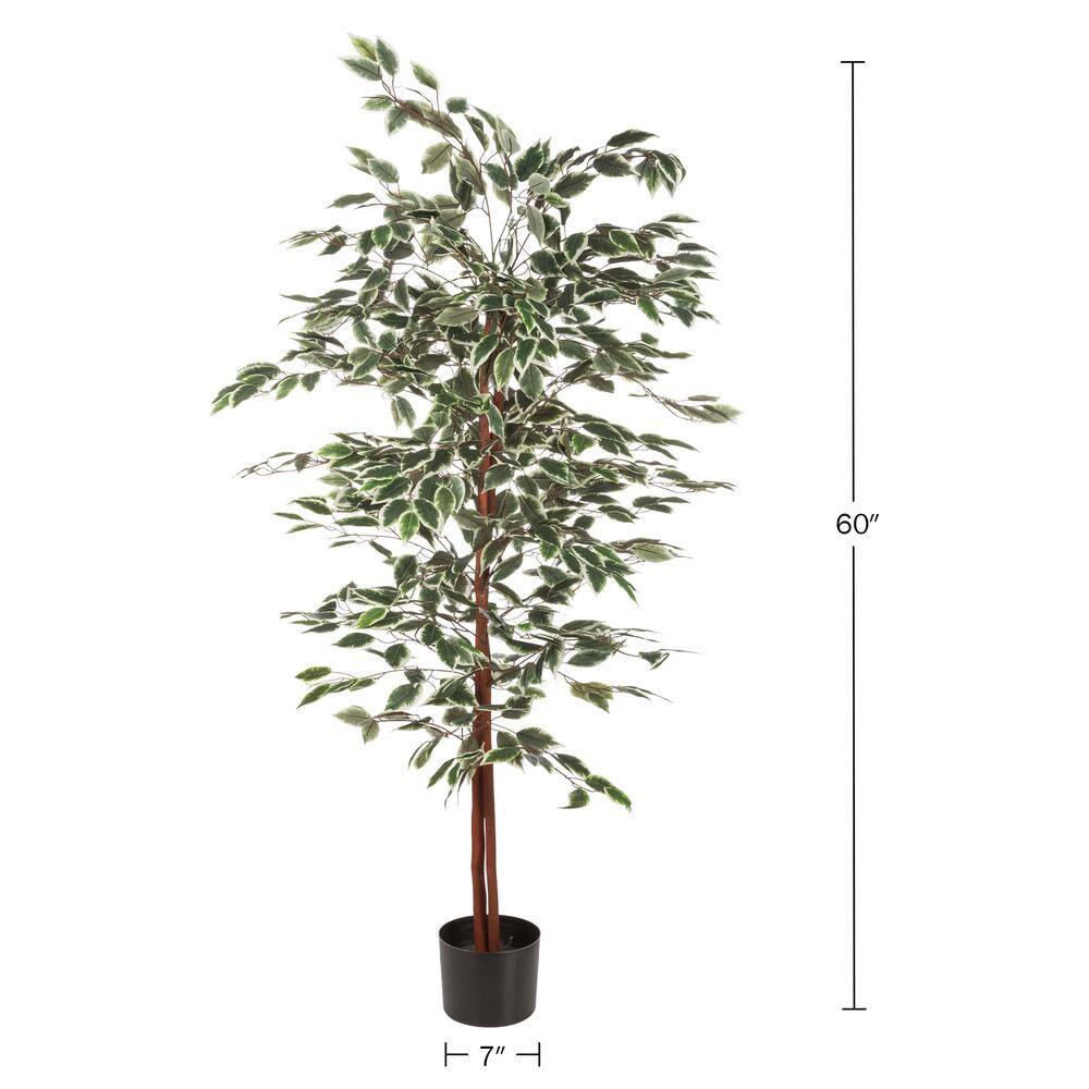 60" Green Plastic Ficus Boxwood Outdoor Floor Plant