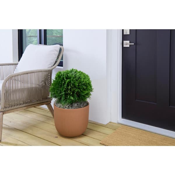 Amaliya Medium Textured Brown Plastic Planter (14 in. L x 14 in. W x 11.6 in. H)