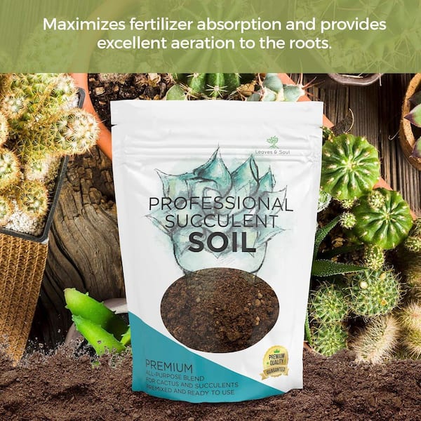 LEAVES AND SOUL Large Bag Succulent Soil Premium All Purpose Blend, 8.2  qt., Ready to Use for Cactus and Succulents B096WGF77J - The Home Depot