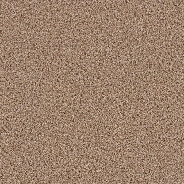 TrafficMaster Happy Chance  - Blissful - Beige 30 oz. SD Polyester Texture Installed Carpet