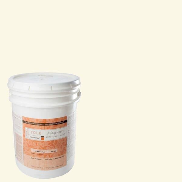 YOLO Colorhouse 5-gal. Air .01 Flat Interior Paint