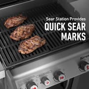 Spirit E-330 3-Burner Liquid Propane Grill in Black with Built-In Thermometer