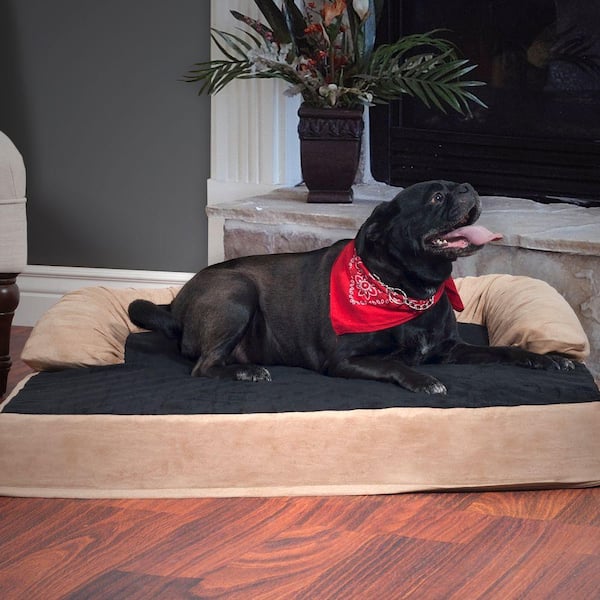 https://images.thdstatic.com/productImages/eb9ae007-88a1-4b9a-b282-9084a5a1b66f/svn/paw-dog-beds-80-04-l-31_600.jpg
