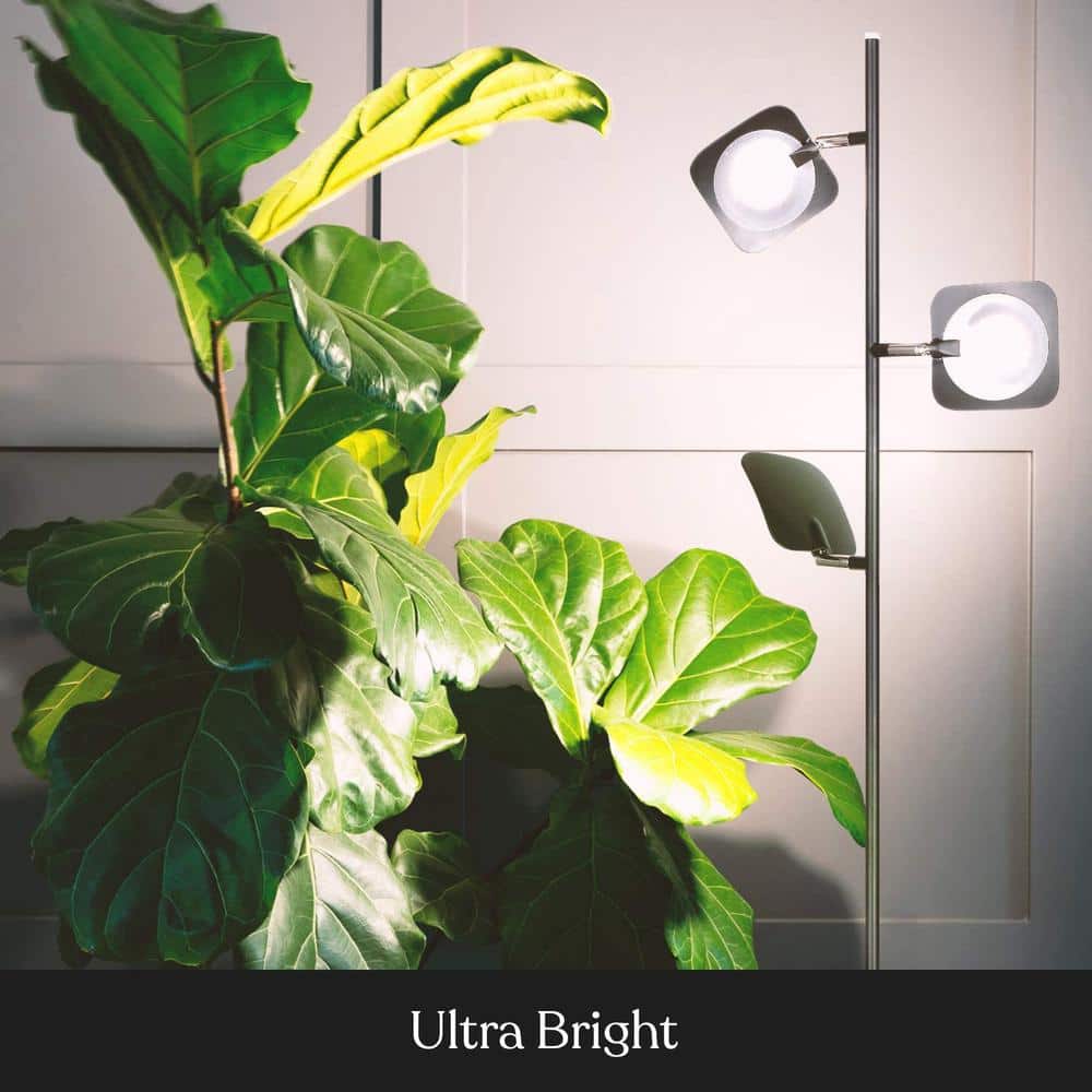 Black Adjustable Multi-Head LED Floor Lamp with 3-Way Switch