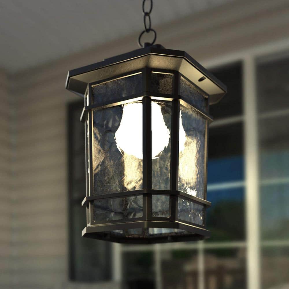 Williams Matte Black LED Outdoor Hanging Lantern with Clear Glass