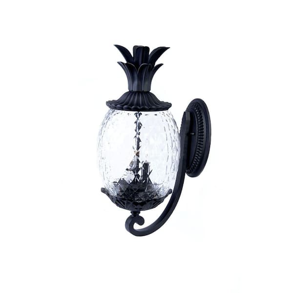Lanai Collection 2-Light Matte Black Outdoor Wall Lantern Sconce