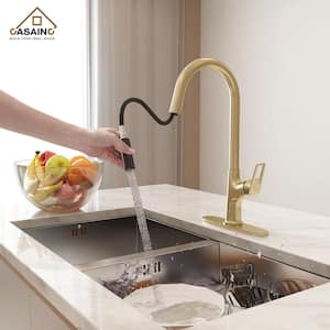 Single Handle Pull-Down Sprayer Kitchen Faucet with Advanced Spray, Pull Out Spray Wand, Deckplate in Brushed Gold