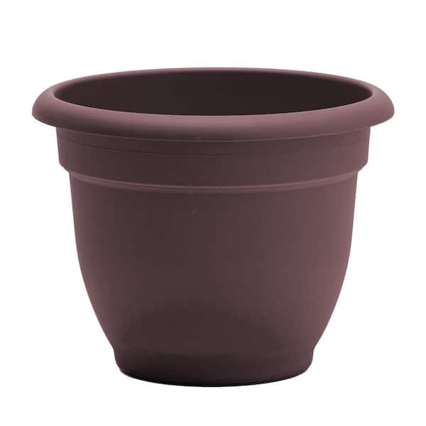 Bloem Ariana Self Watering Resin Planter 10 in. Merlot Burgundy