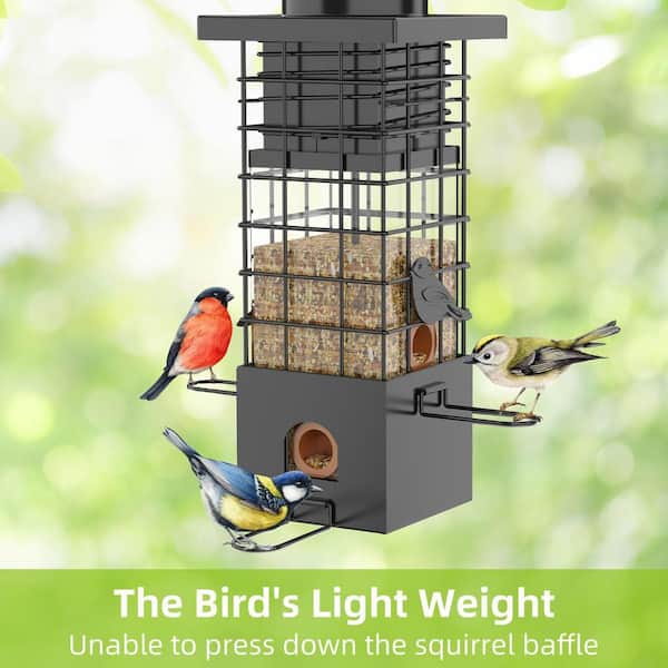 Unbranded - Black Metal 2.5 lbs. Capacity Squirrel Proof Bird Feeder for Wild Bird